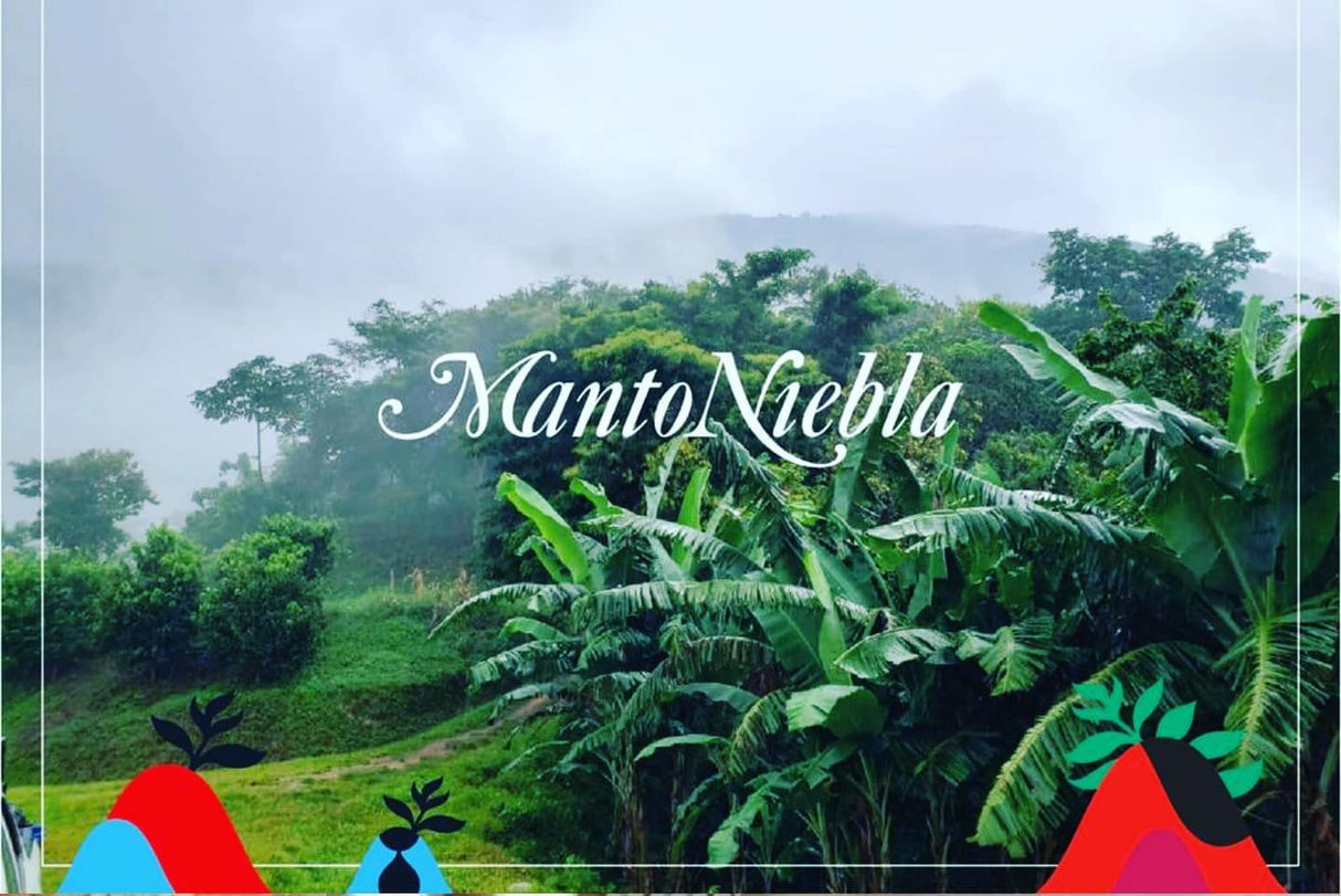 Oaxaca Manto Niebla Hnos. Villareal Lavado