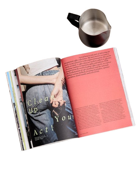 Revista Standart Vol 38