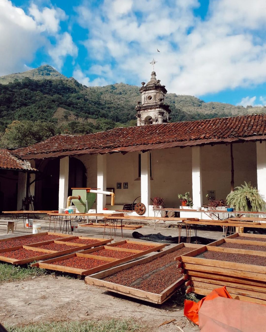 Veracruz Alexia Zavaleta Finca Coyametla Red honey