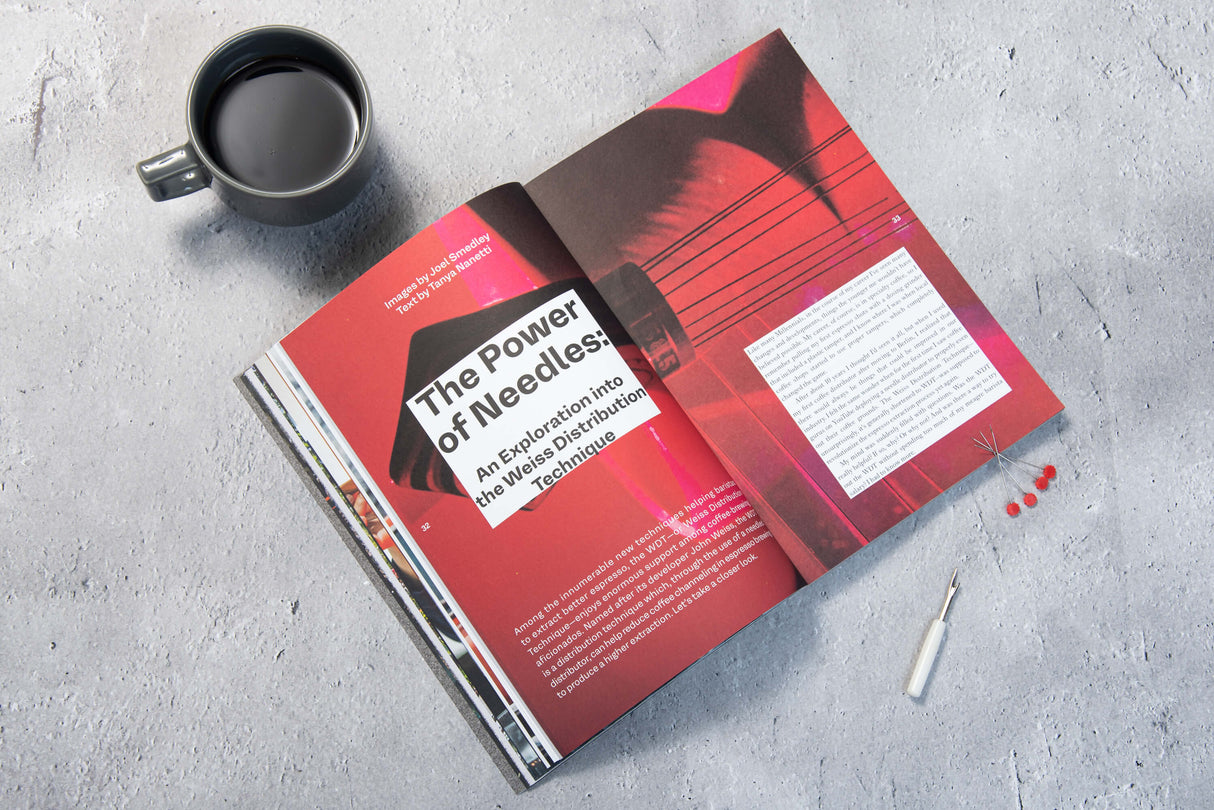 Revista Standart Vol 30