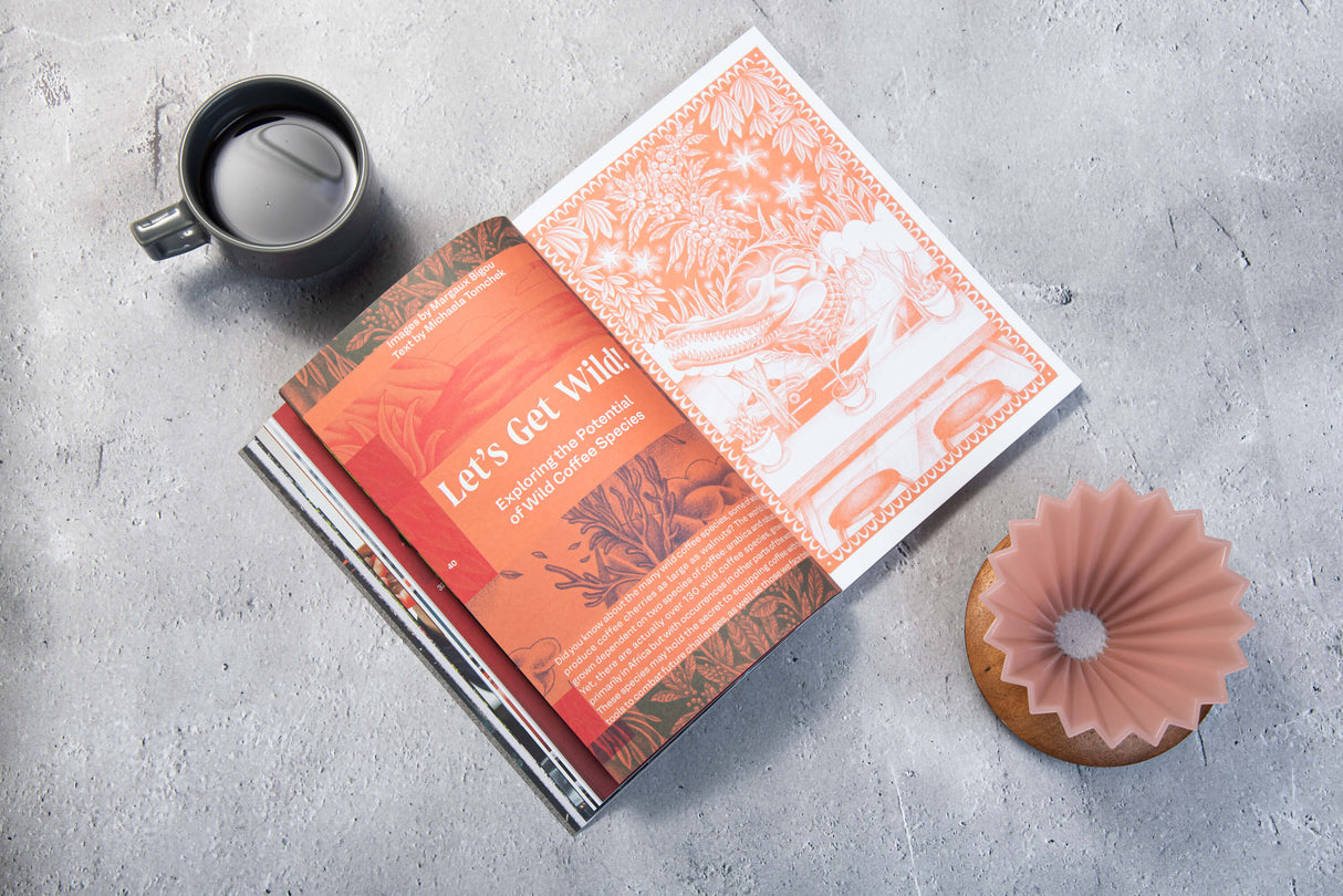 Revista Standart Vol 30