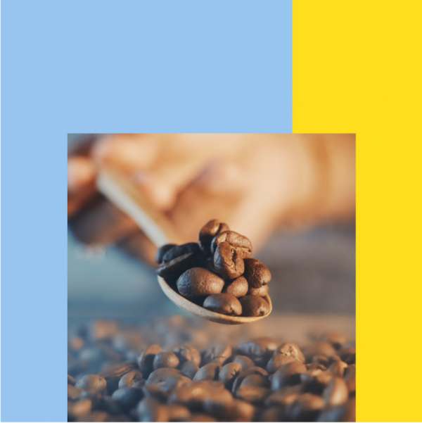 Oaxaca Finca FRUTTA x Almanegra