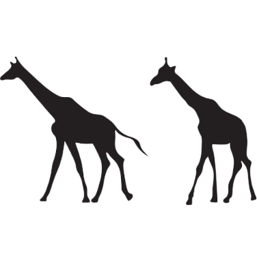 Kenia Kirinyaga Gachenge AA