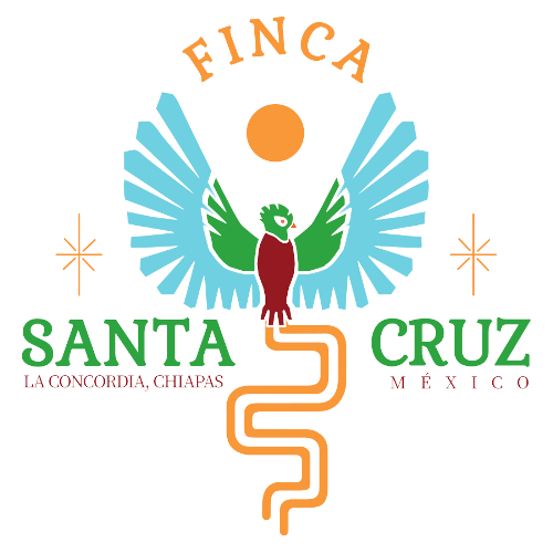 Chiapas Finca Santa Cruz Jose Arguello
