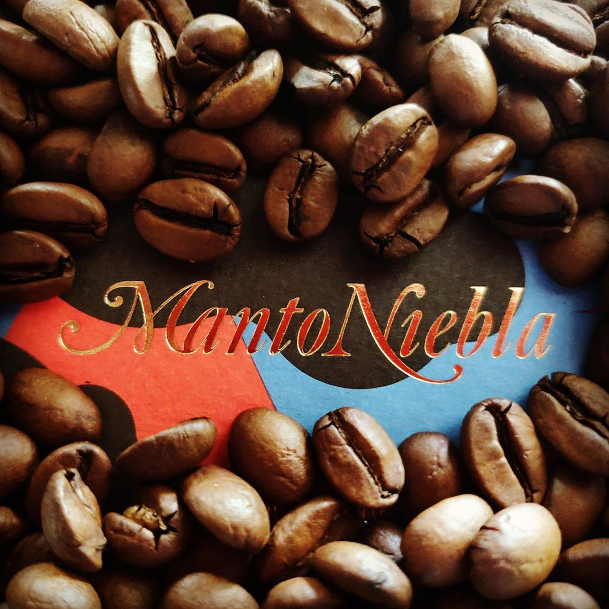 Oaxaca Manto Niebla Hnos. Villareal Lucía Solís