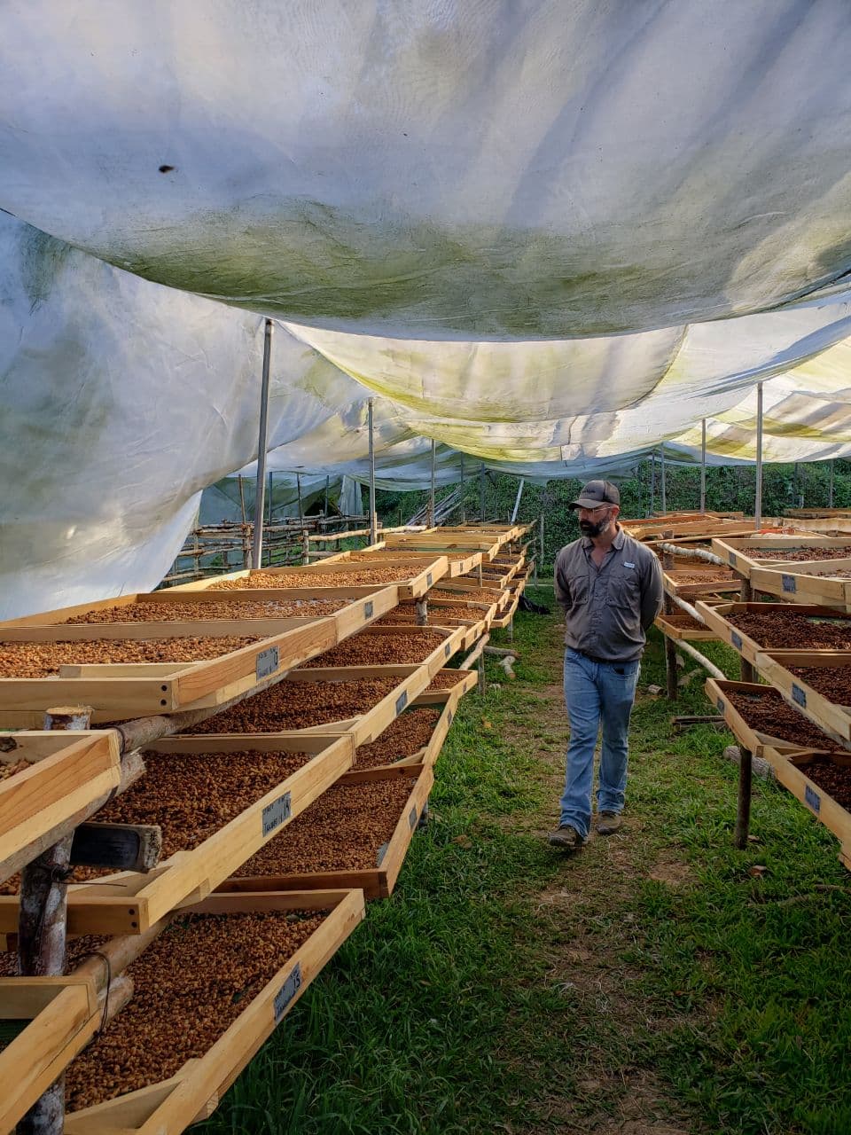 Oaxaca Manto Niebla Hnos. Villareal Lucía Solís