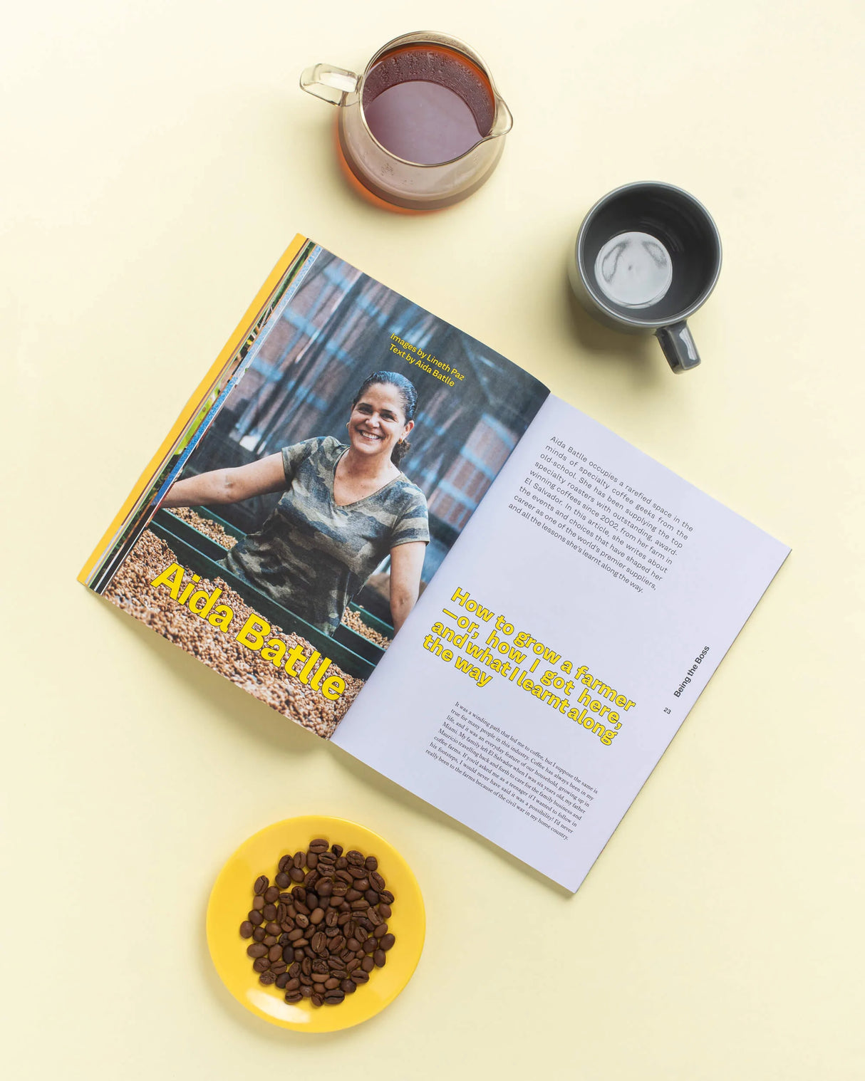 Revista Standart Vol 28