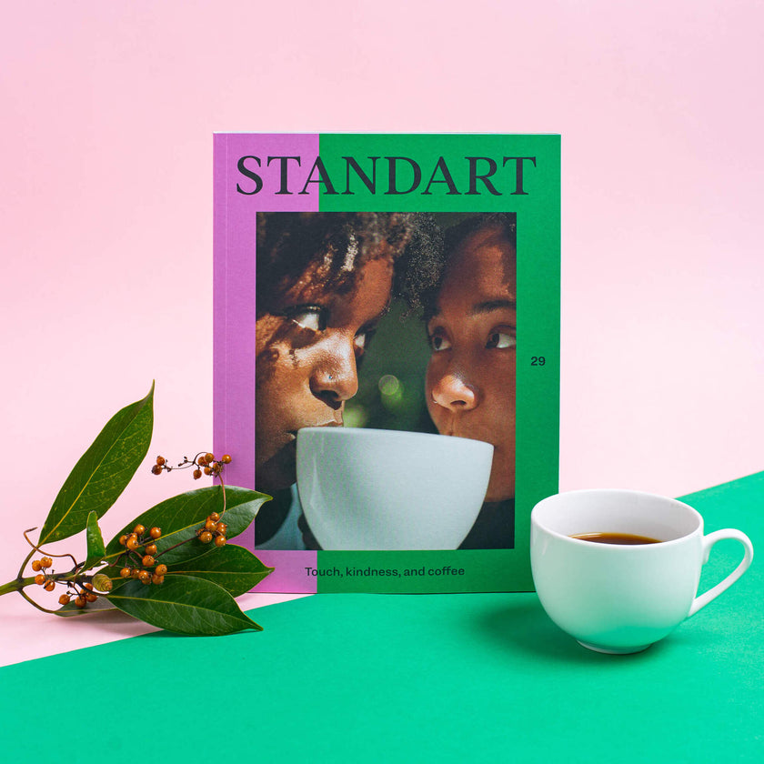 Revista Standart Vol 29