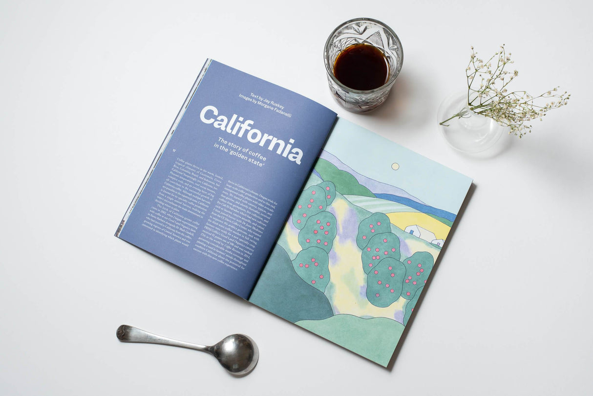 Revista Standart Vol 24