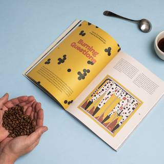 Revista Standart Vol 22