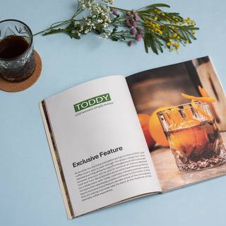 Revista Standart Vol 22