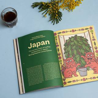 Revista Standart Vol 22