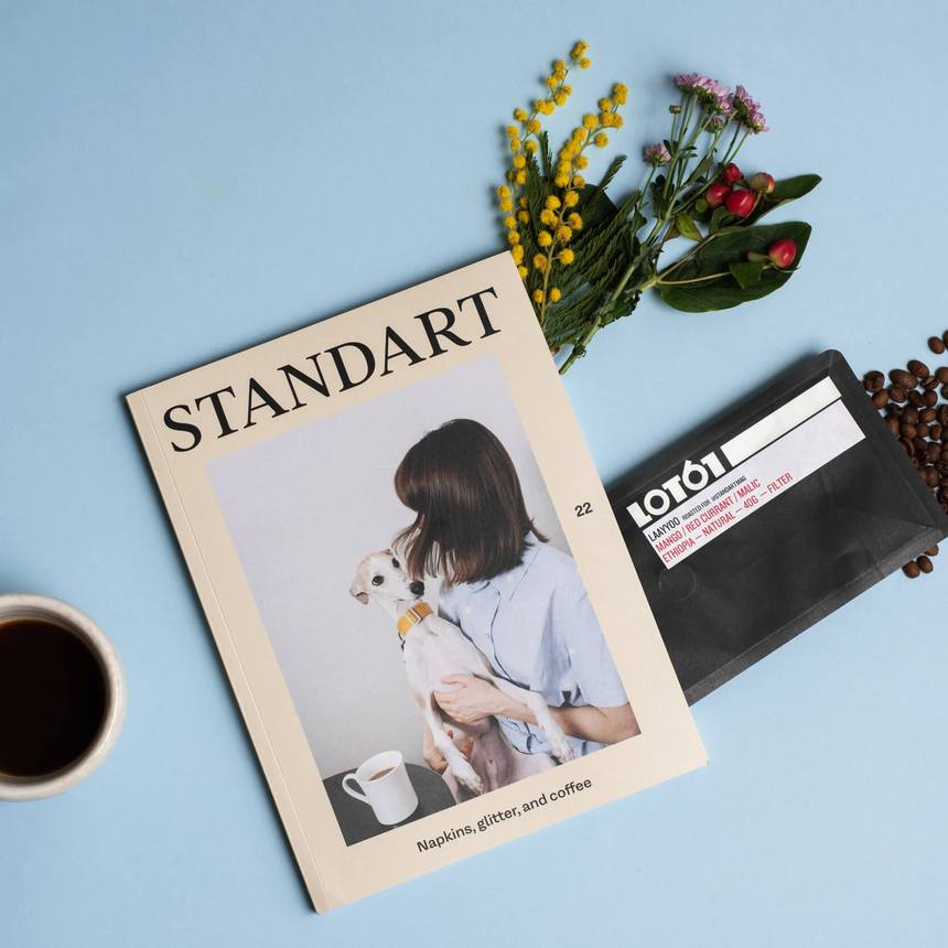 Revista Standart Vol 22