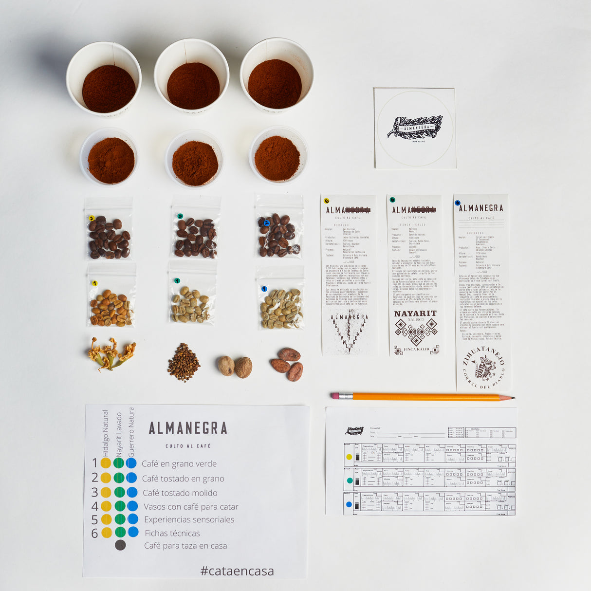 Experiencia sensorial - Cata en Casa