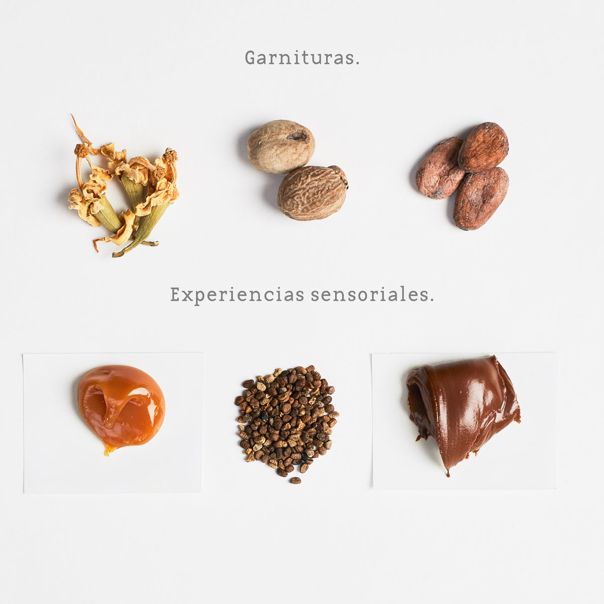 Experiencia sensorial - Cata en Casa