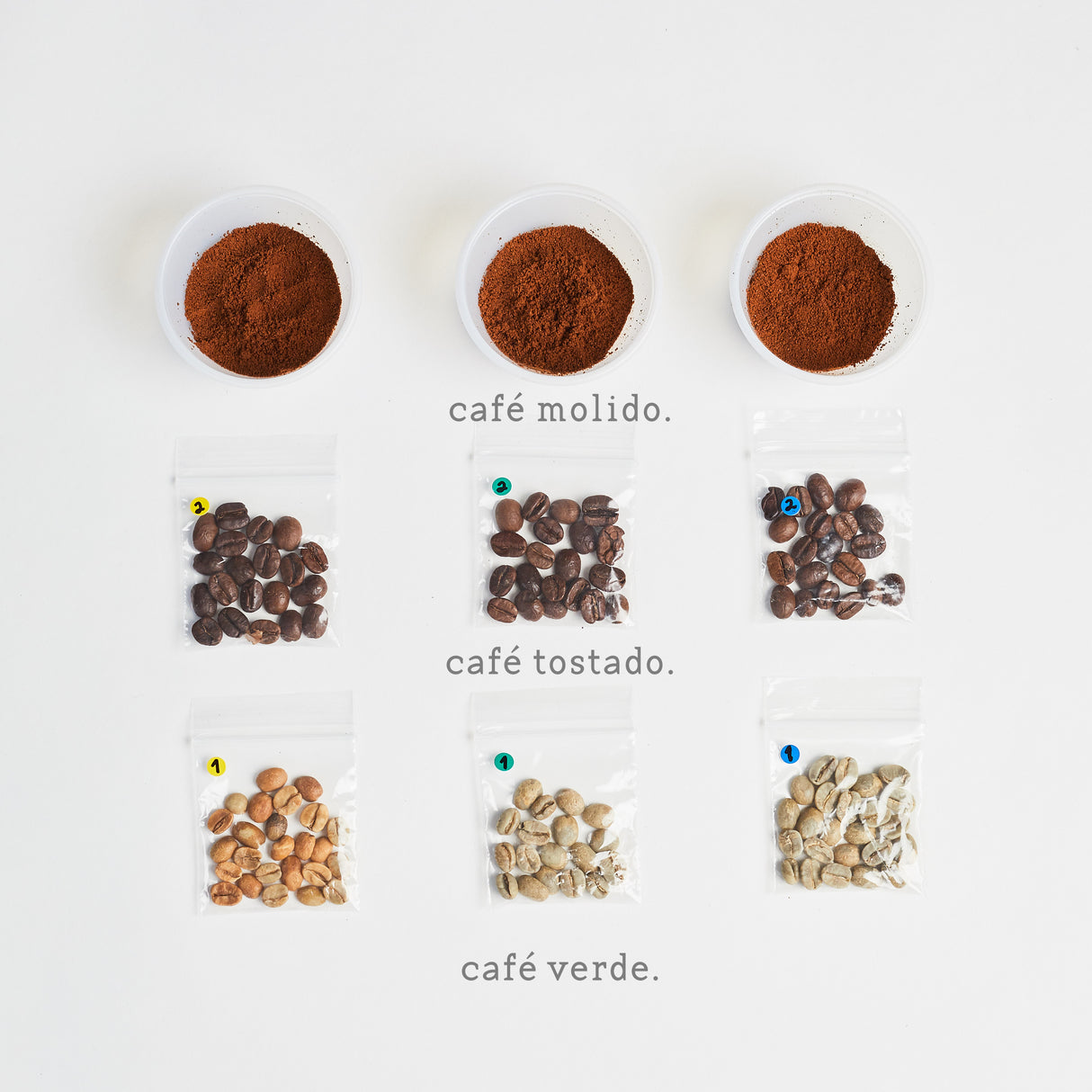 Experiencia sensorial - Cata en Casa