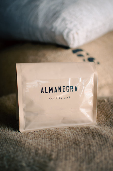 Nayarit Gerardo Vazquez Finca Kalid