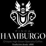 Chiapas Pacamara Finca Hamburgo