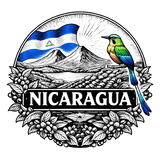 Nicaragua, Finca Buenos Aires, Maracaturra Natural
