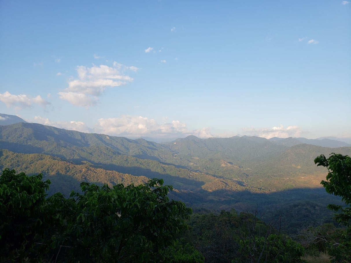 Oaxaca Manto Niebla Hnos. Villareal Natural