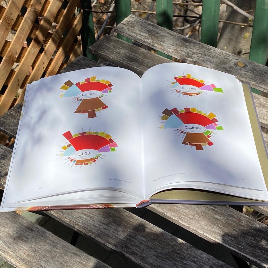 La Física del Café Filtrado de Jonathan Gagné