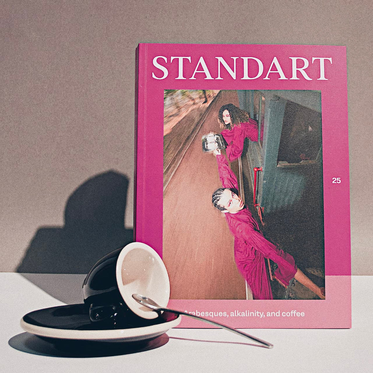 Revista Standart Vol 25