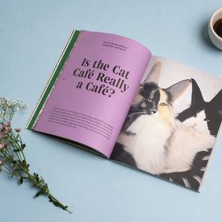 Revista Standart Vol 22